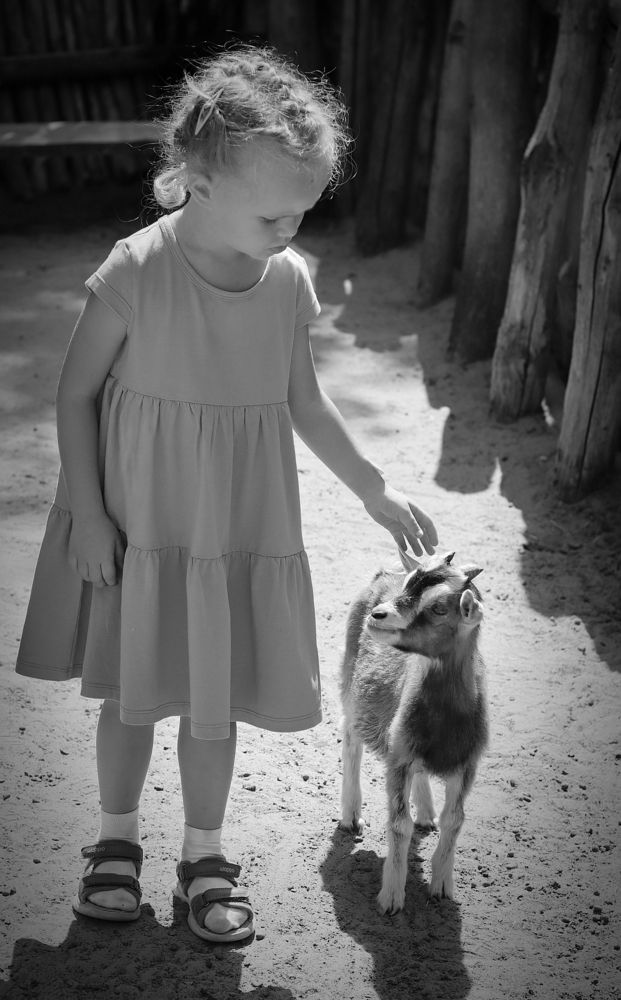 Photograph by Мария Толкачёва