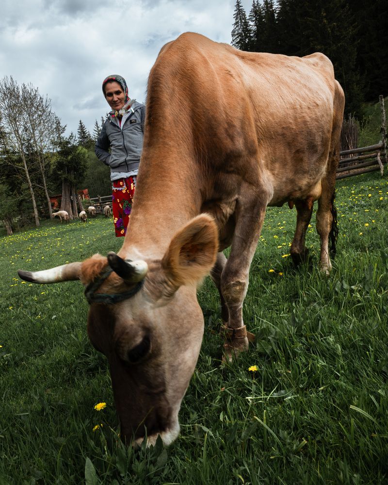 Фотография автора Lyuboslav Bochev