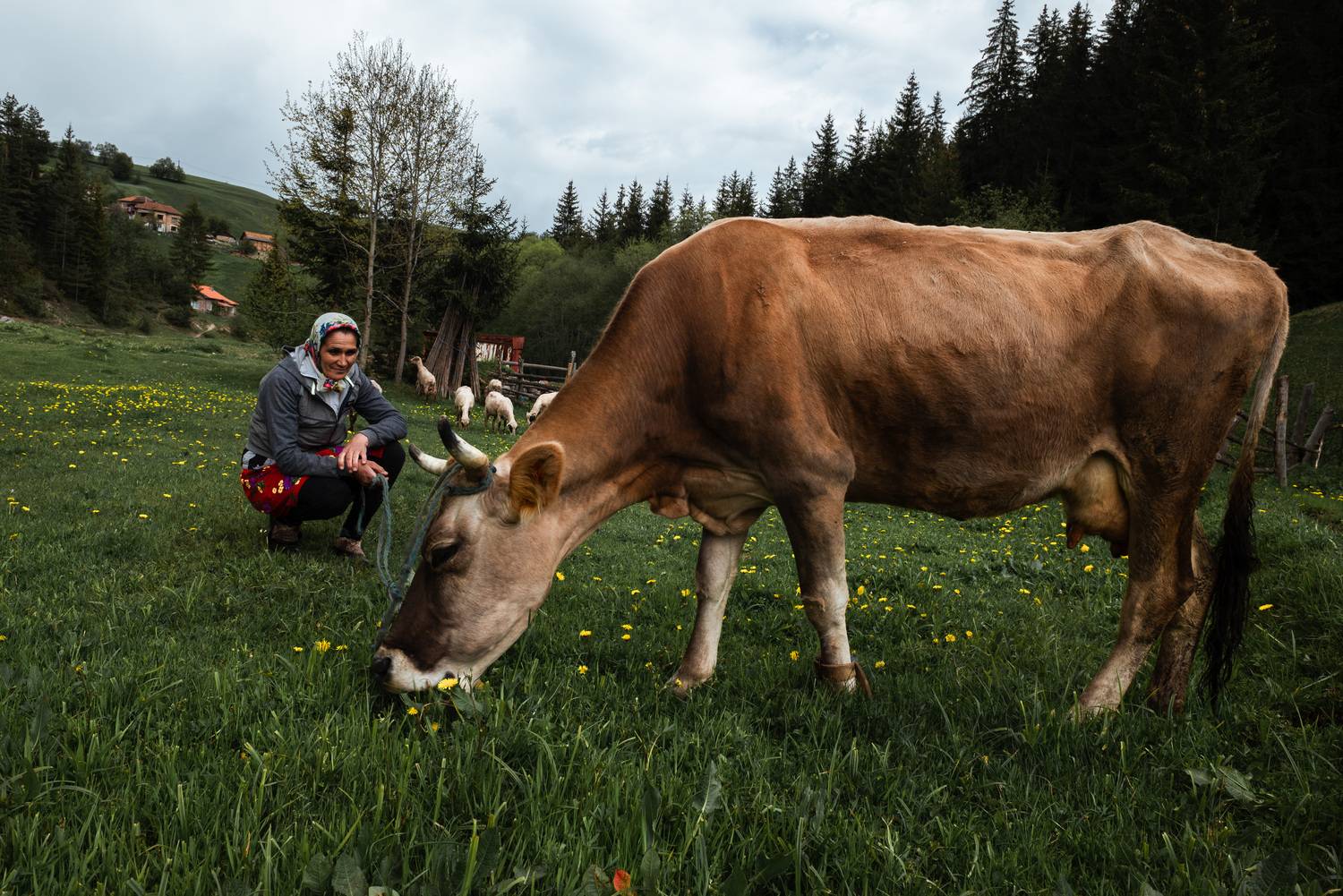 Фотография #13182181