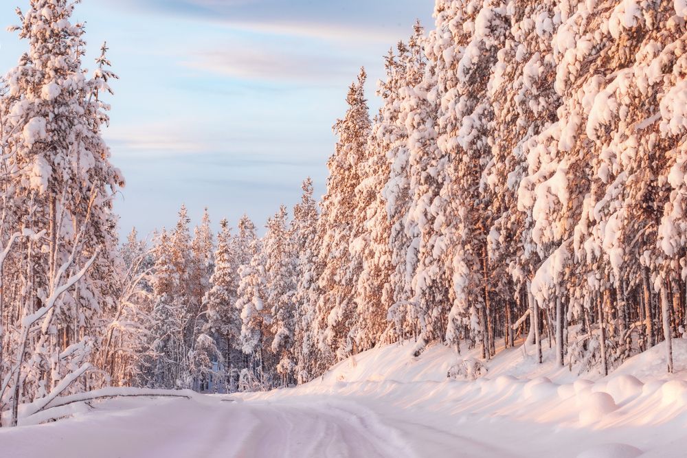 Фотография автора Ксения Рябухина