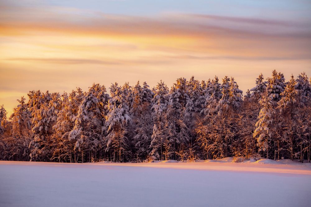 Photograph by Ксения Рябухина