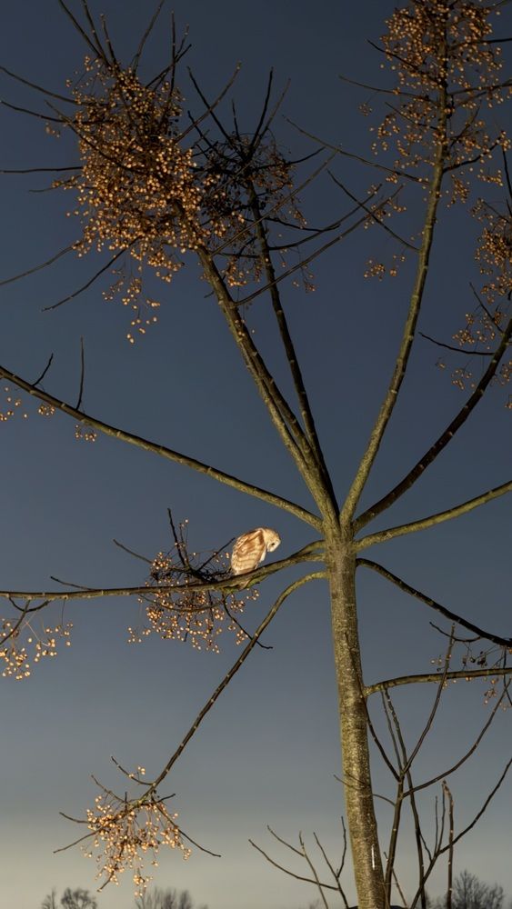 Photograph by amaz avr