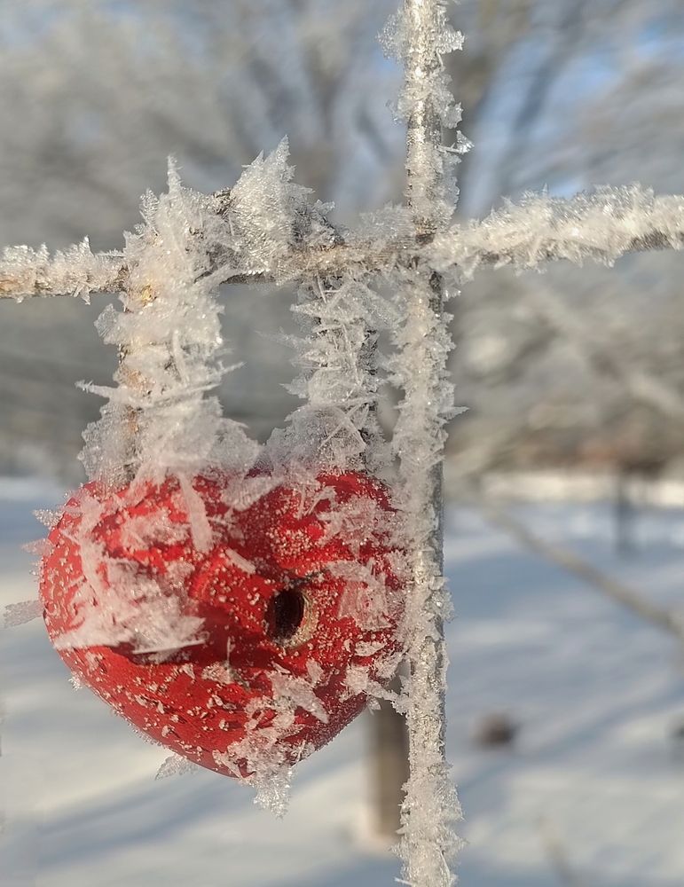 Photograph by Елена Пархоменко