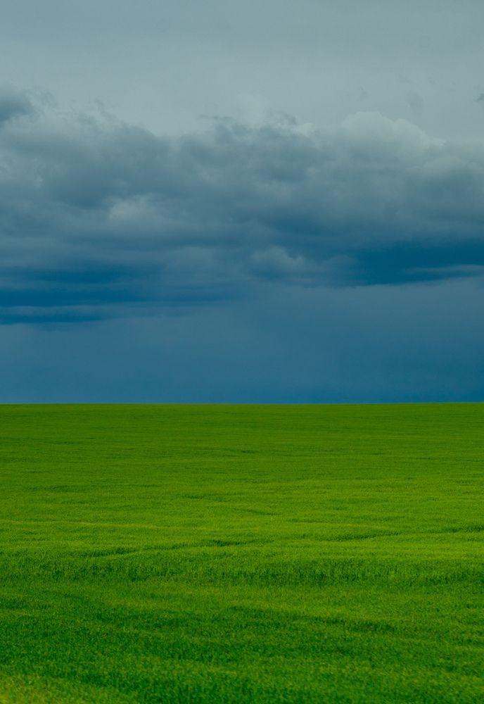 Фотография автора Геннадий Ломеко