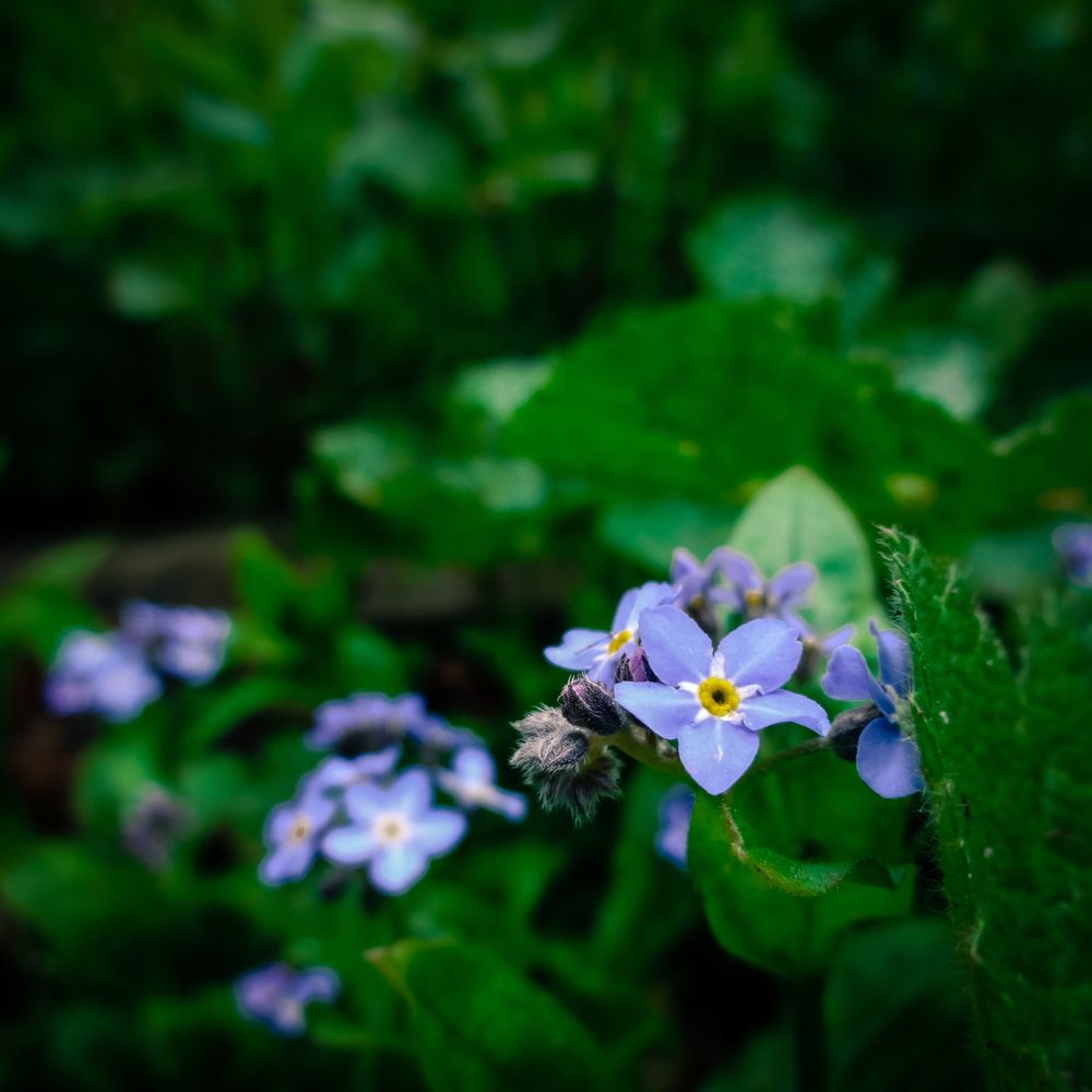 Фотография автора Геннадий Ломеко