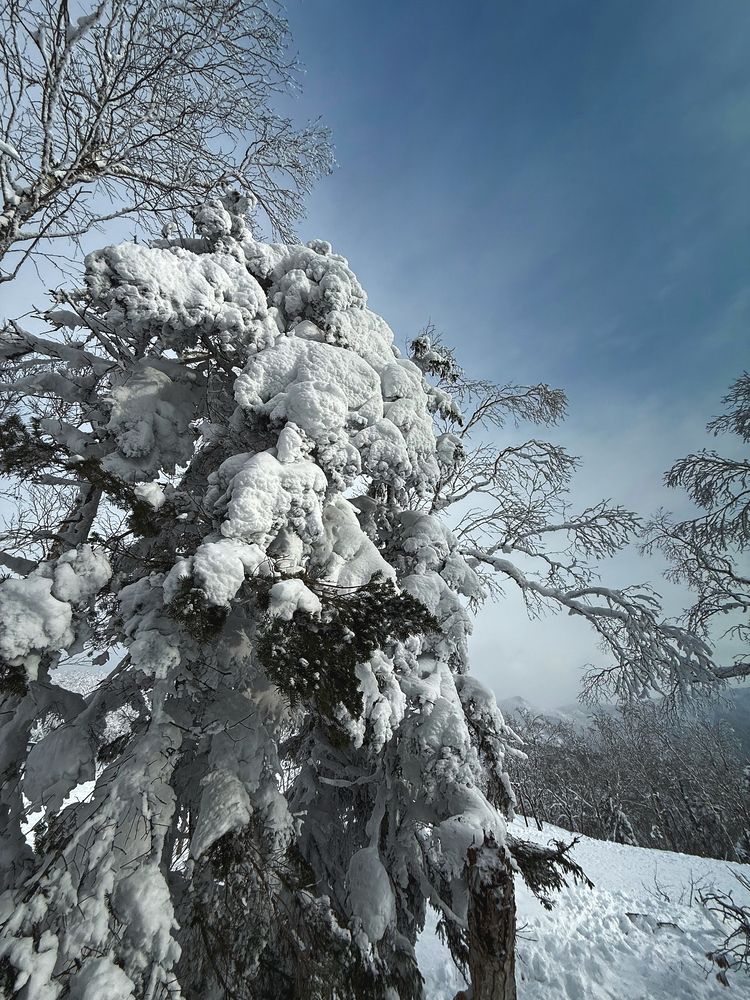 Фотография автора Бороненков Вадим