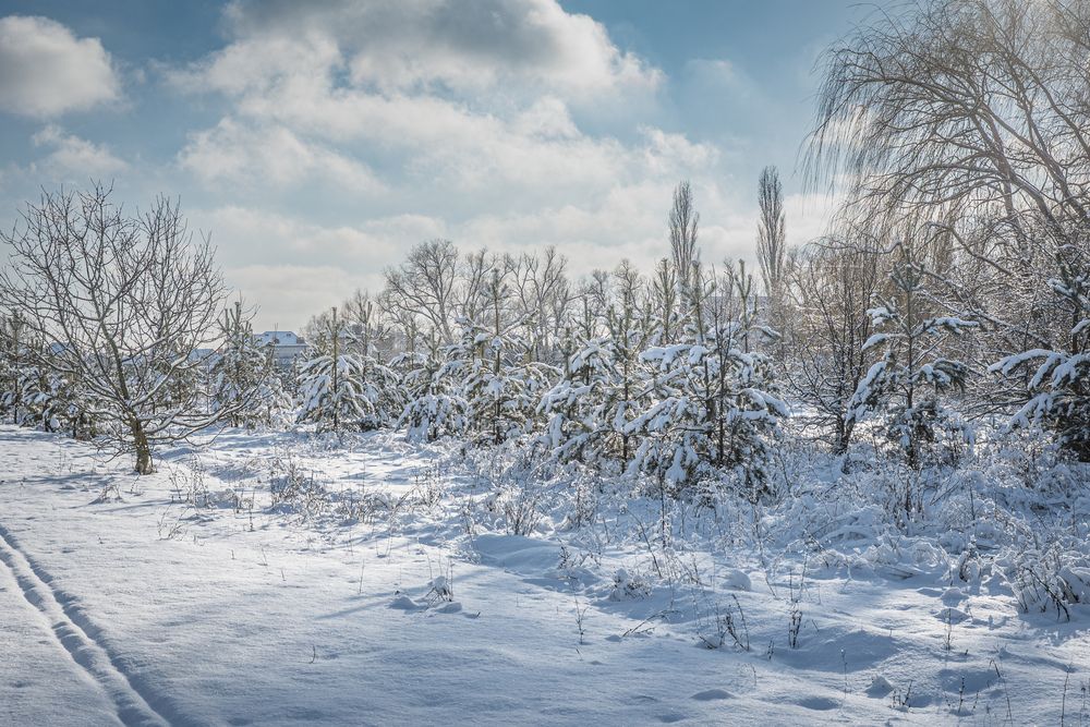 Photograph by Tim Wing