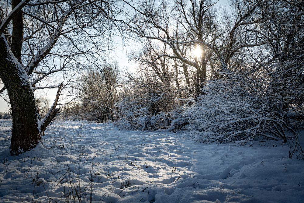 Photograph by Tim Wing