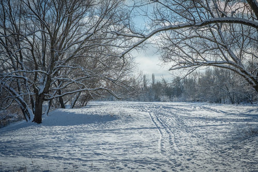 Photograph by Tim Wing