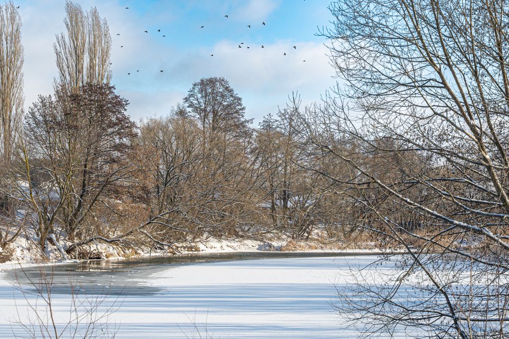 Photograph by Tim Wing