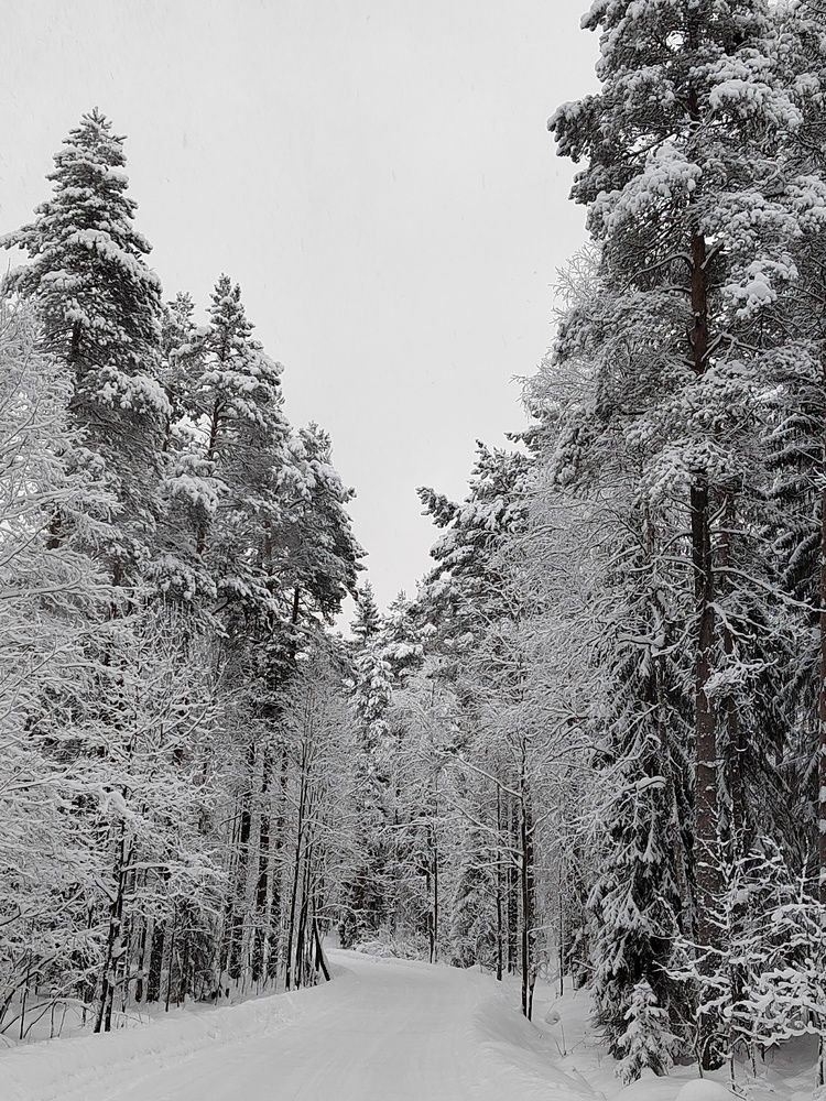 Photograph by Наталья Горовых