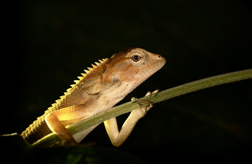 Photograph by Владимир Цветов