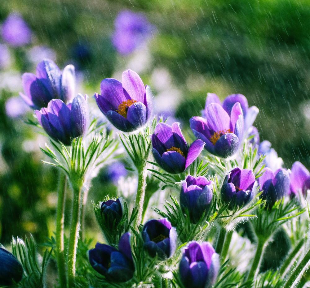 Photograph by Николай Захаров