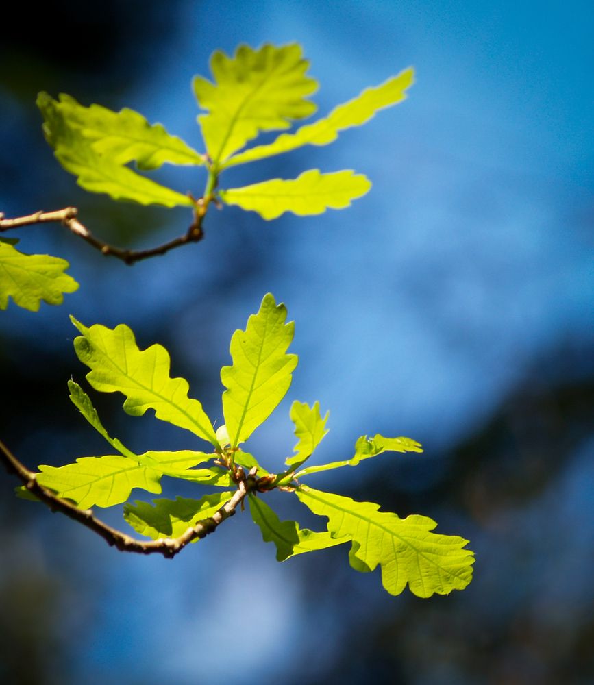 Photograph by Agita Leimane