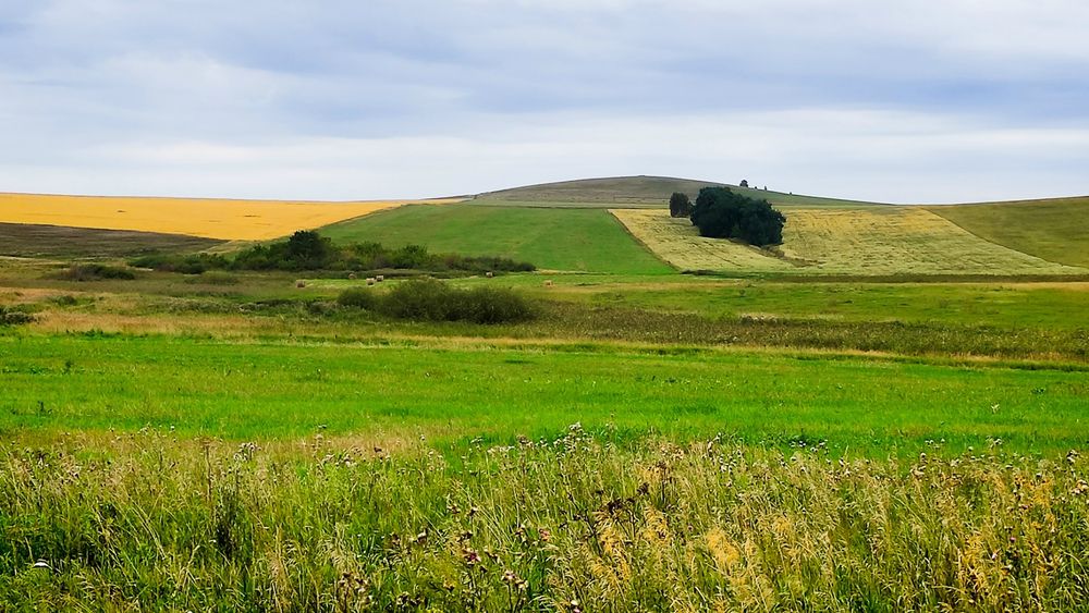 Фотография автора Всеволод Сахновский