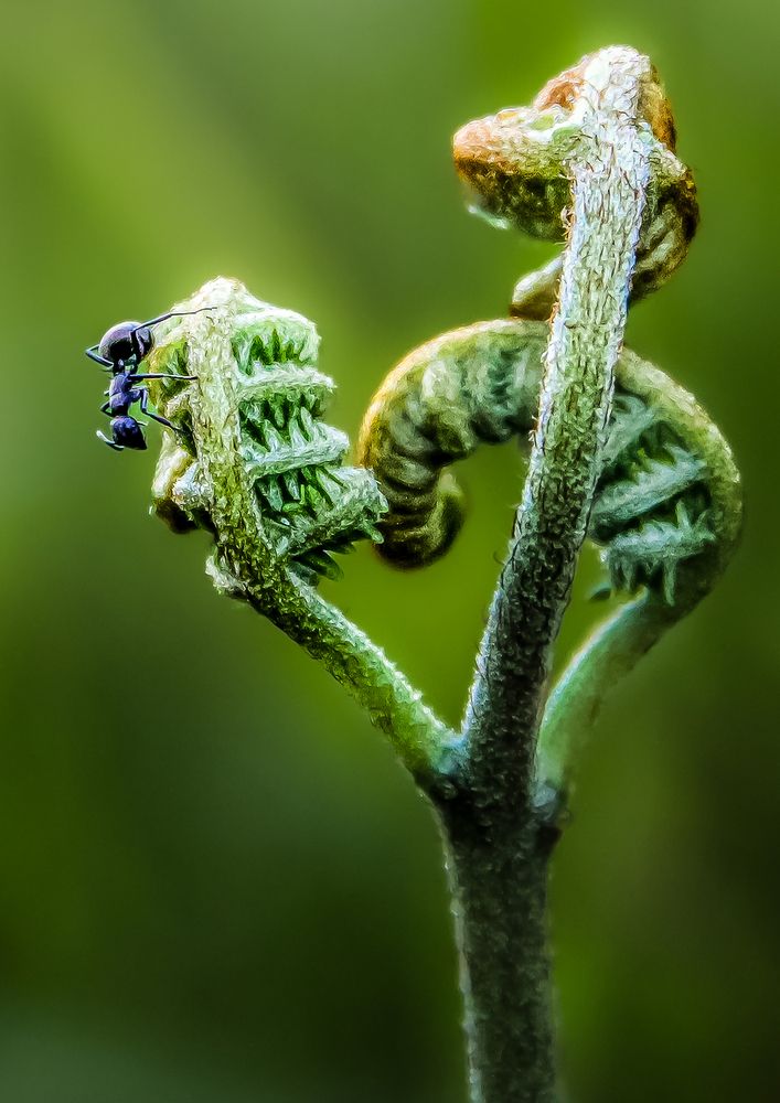 Photograph by EFREN VICTORINO