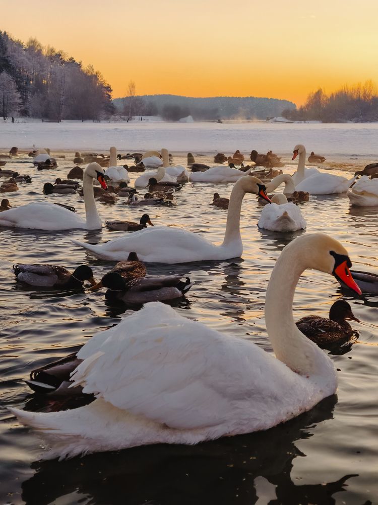 Photograph by Maria Stankevich