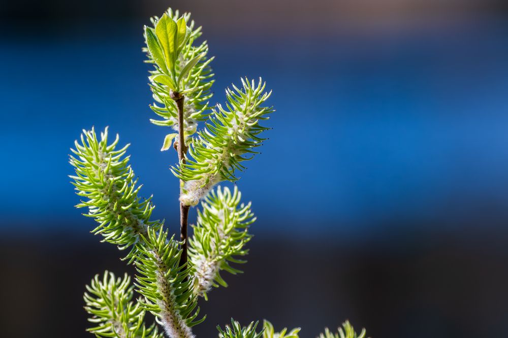 Photograph by Agita Leimane