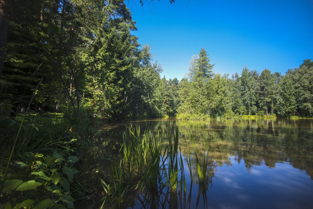 Photograph by Александр Журавлев