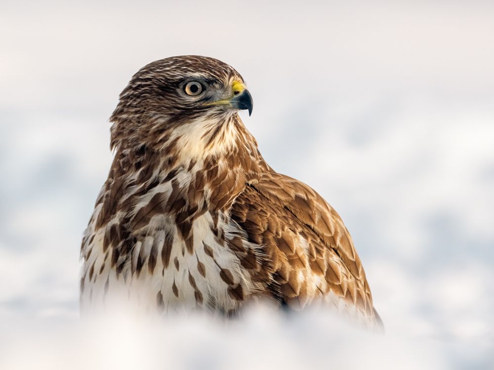 Photograph by Gergely Janovszky