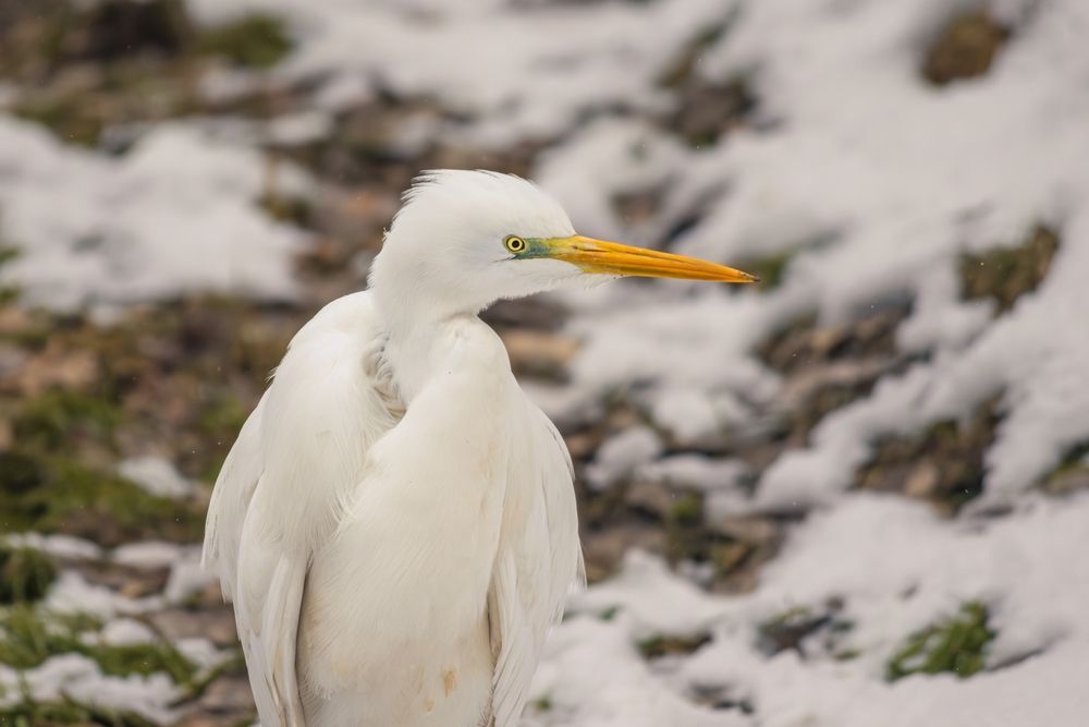 Photograph by Wioletta Kubisiak
