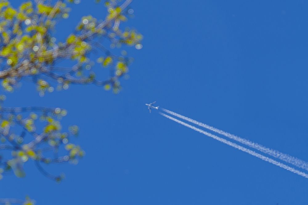 Фотография автора Владимир Рогулькин