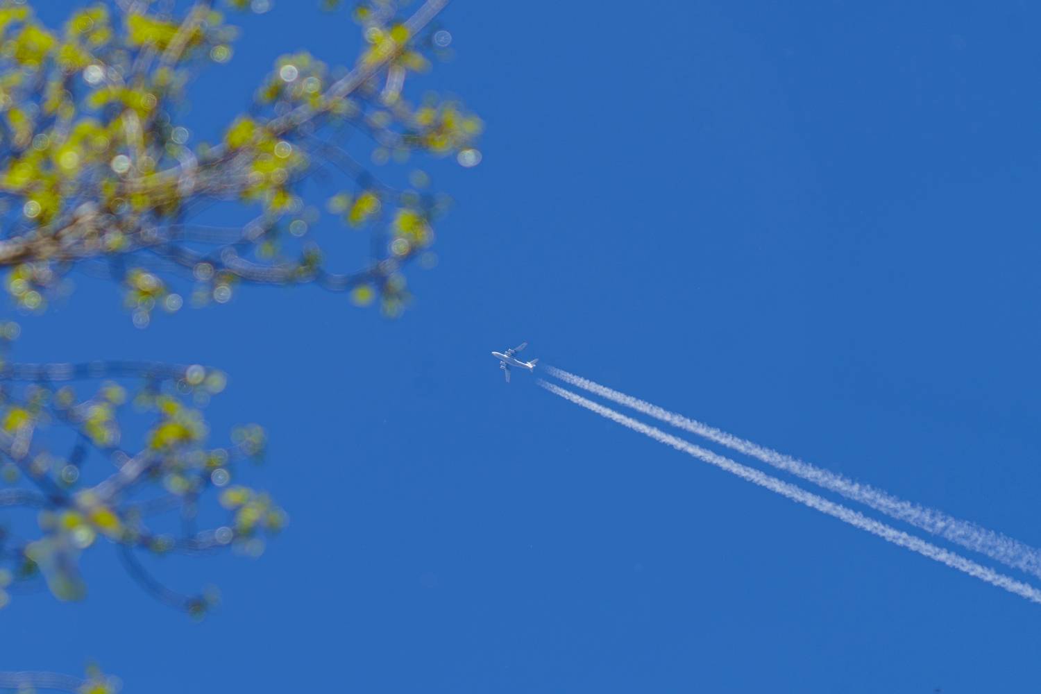 Фотография #13182479