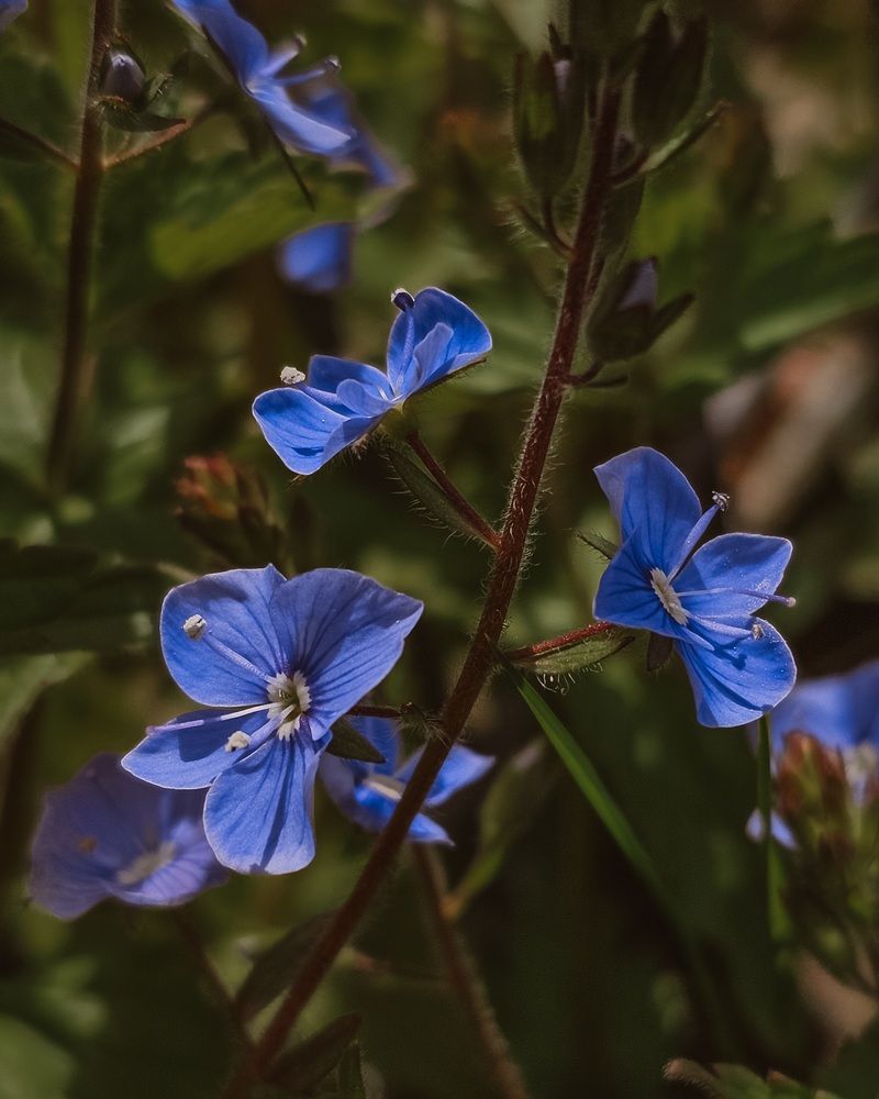 Photograph by Екатерина Сенько