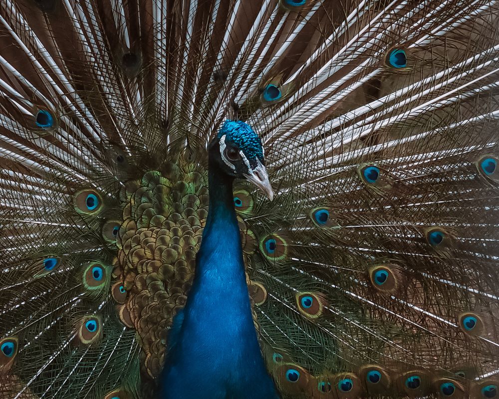 Photograph by Екатерина Сенько