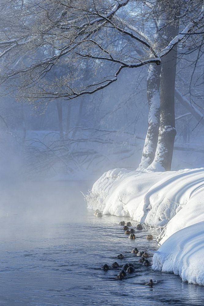 Photograph by Leanid Kulpo
