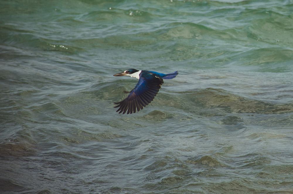 Photograph by Юлия Подлеснова