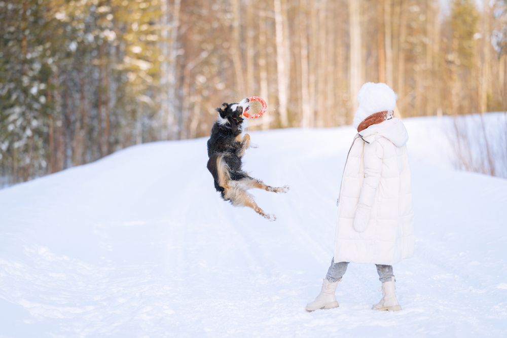 Photograph by Мария Трибакова