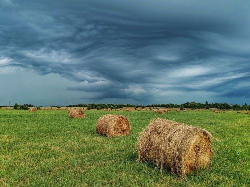 Фотография автора Андрей Шестаков