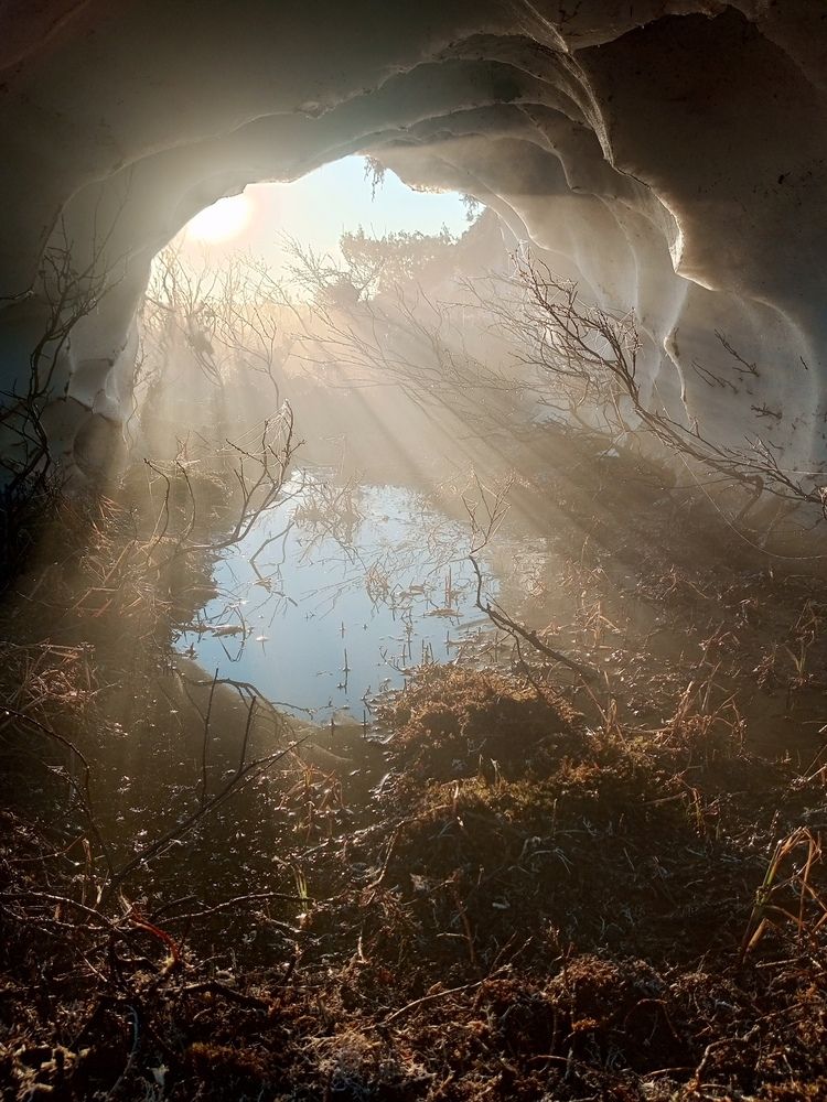 Photograph by Константин Гость