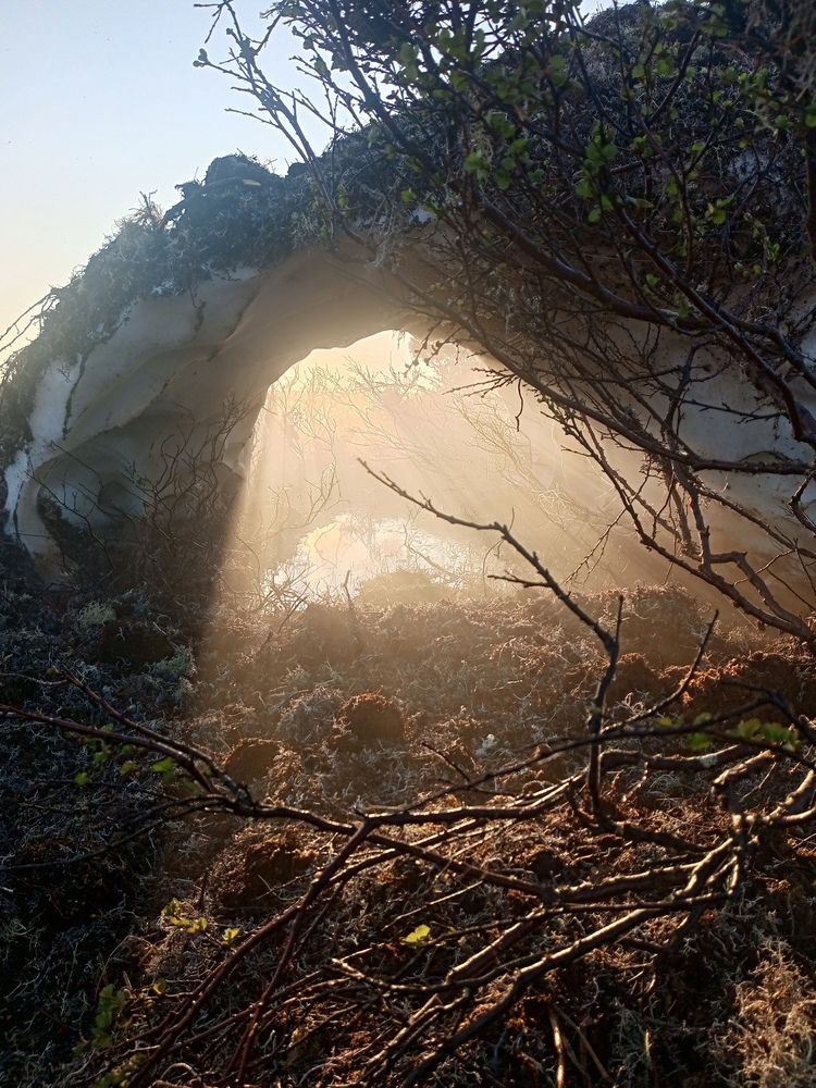 Photograph by Константин Гость