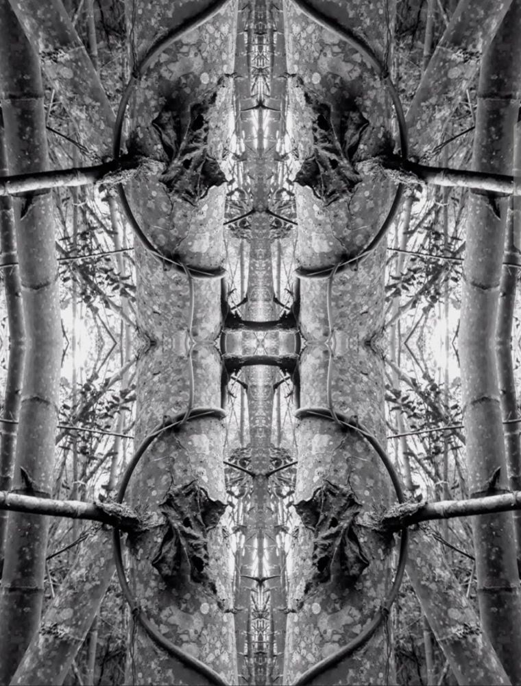 Photograph by María Claudia Salcedo