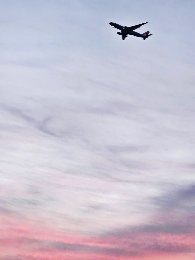 Фотография автора Tatiana Shirenko