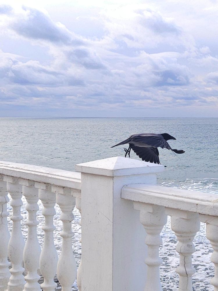 Фотография автора Tatiana Shirenko