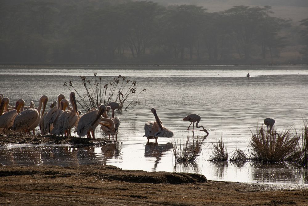 Photograph by Наталья Кокорина