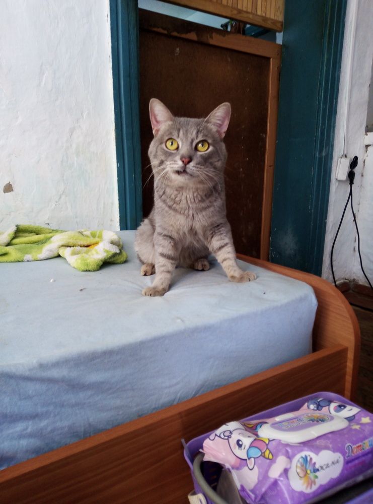 Photograph by Наталья Волобуева