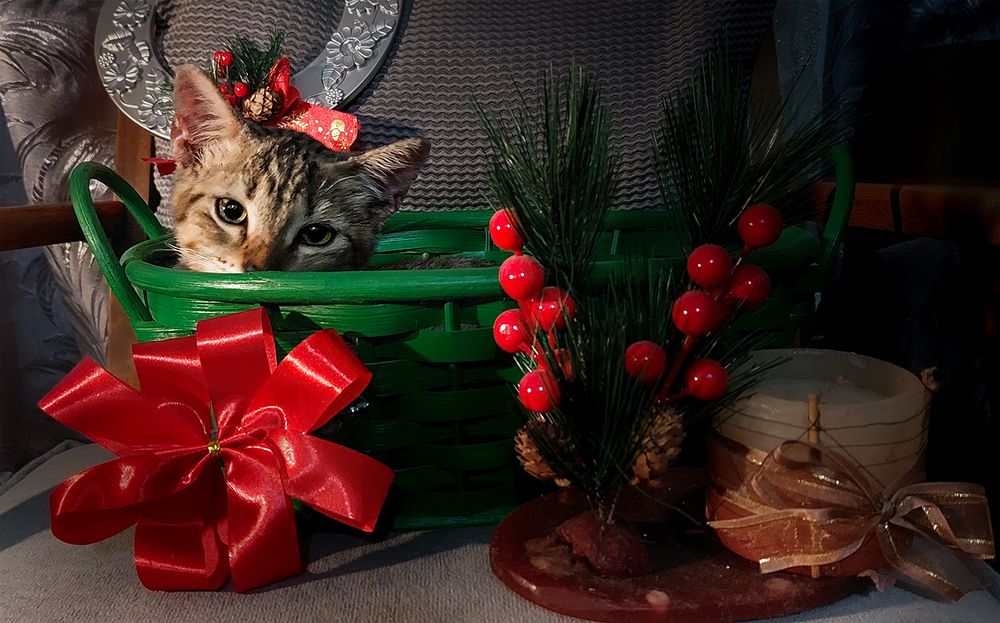 Photograph by EFREN VICTORINO