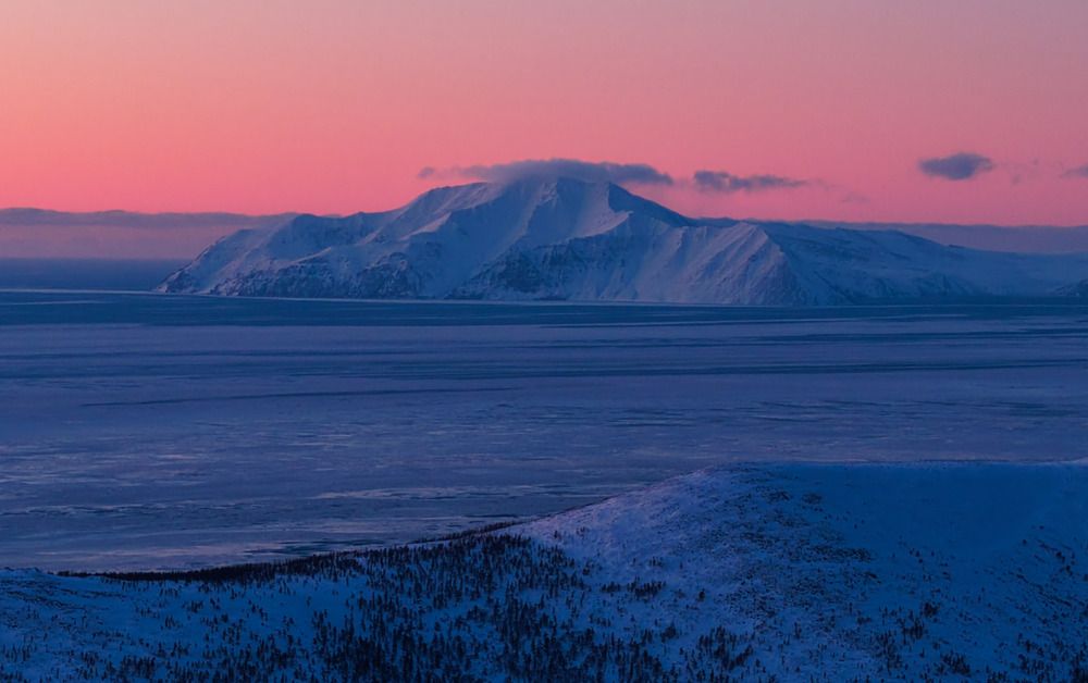 Розовый рассвет