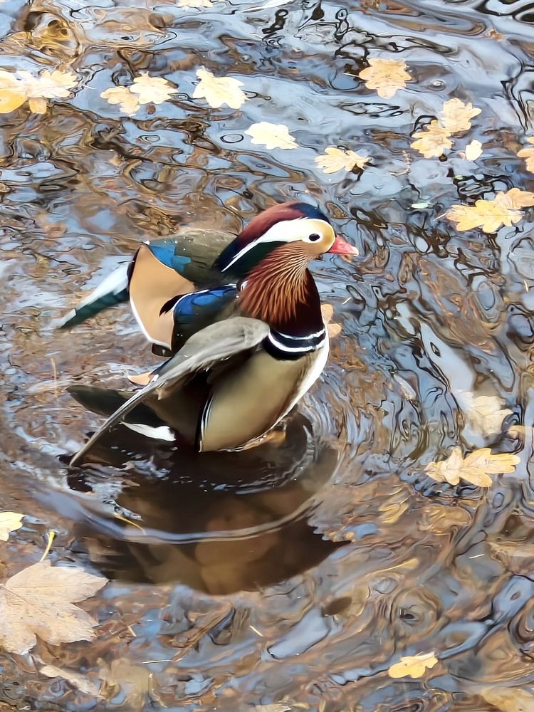 Photograph by Сергей Кислица