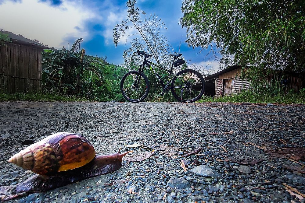 Photograph by EFREN VICTORINO