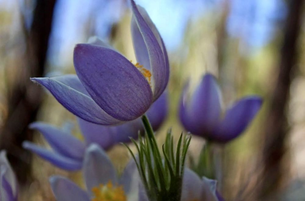 Photograph by Марина Мишутина