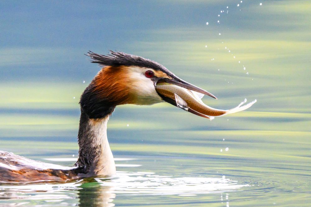 Photograph by Liviu Ciprian Hiticas