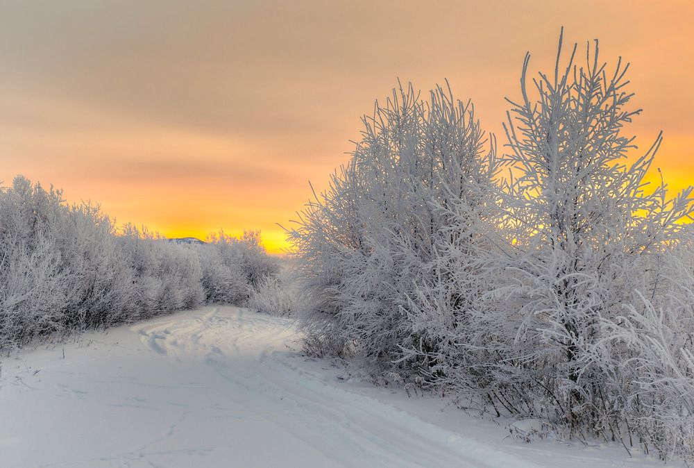 Зимнее утро