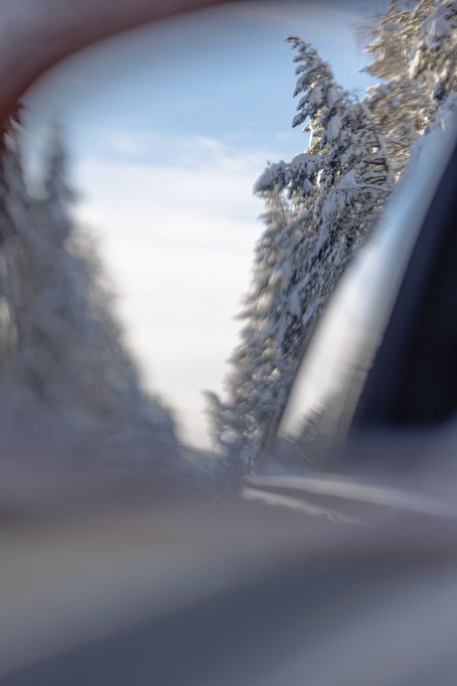 Photograph by Владимир Петухов