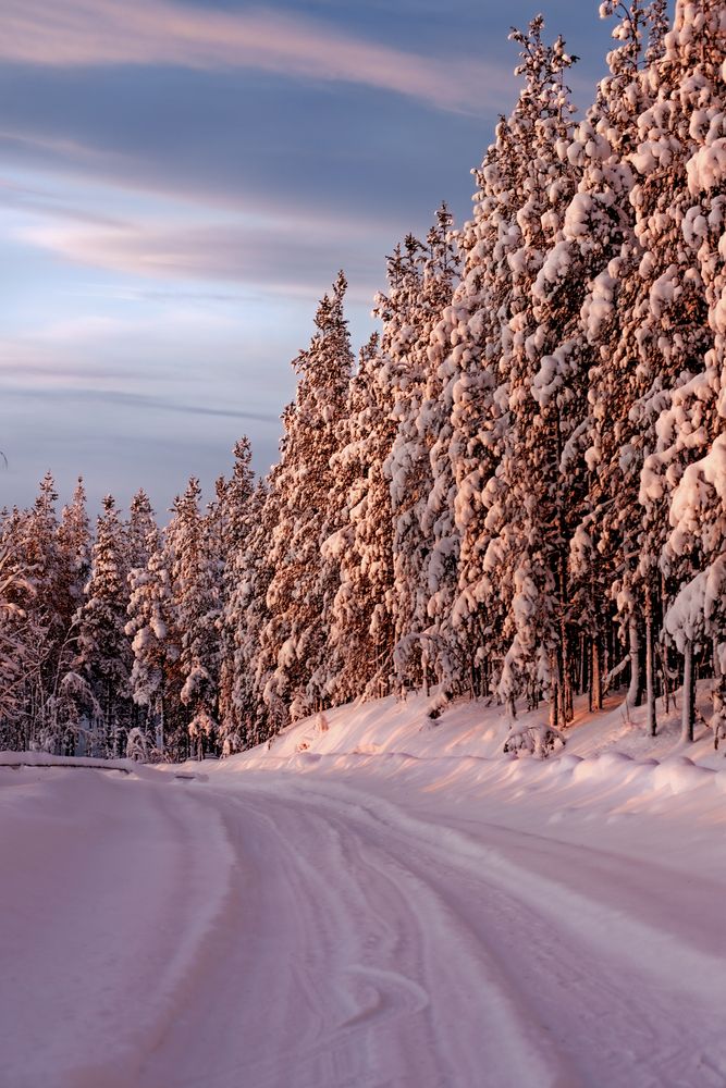 Фотография автора Ксения Рябухина