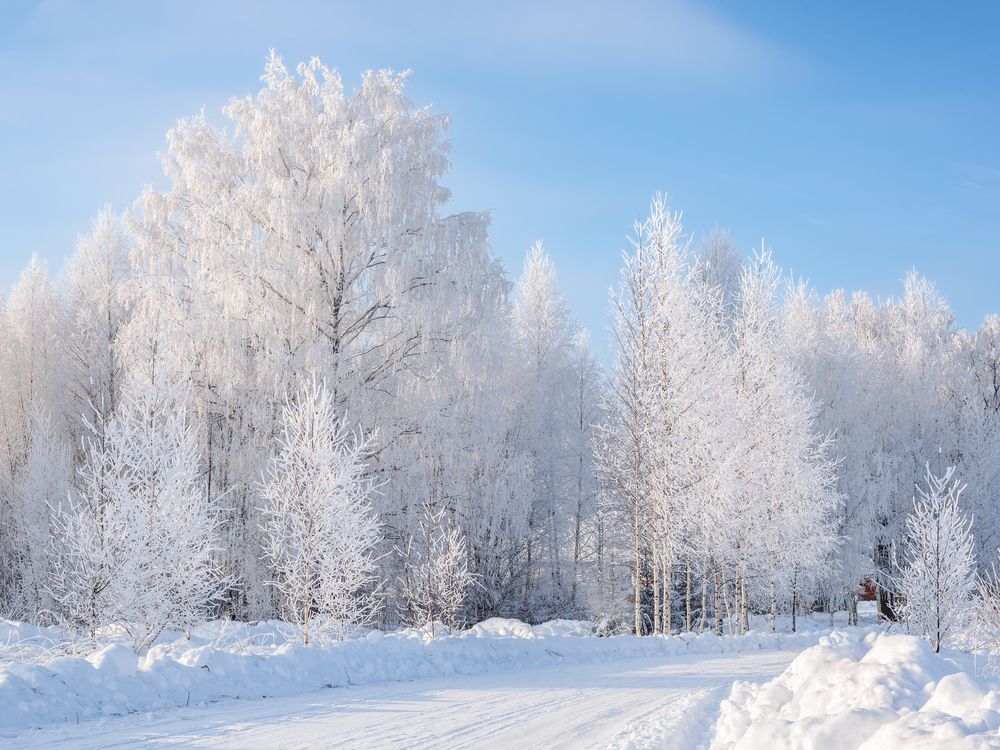 Photograph by Владимир Петухов